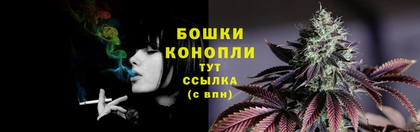 спиды Касимов